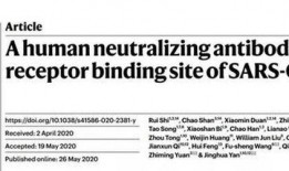 抗体 在线观看,探索免疫系统的守护者